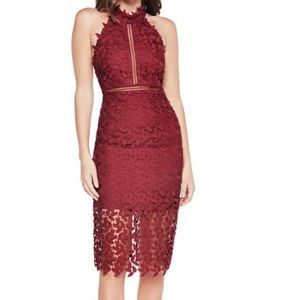 Bardot Gemma halter lace sheath dress